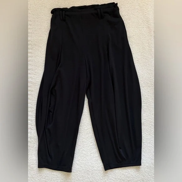 Anthropologie Paper Bag Black Pants Loose Fit Harem Barrell Leg Ankle Size SP - Picture 1 of 8